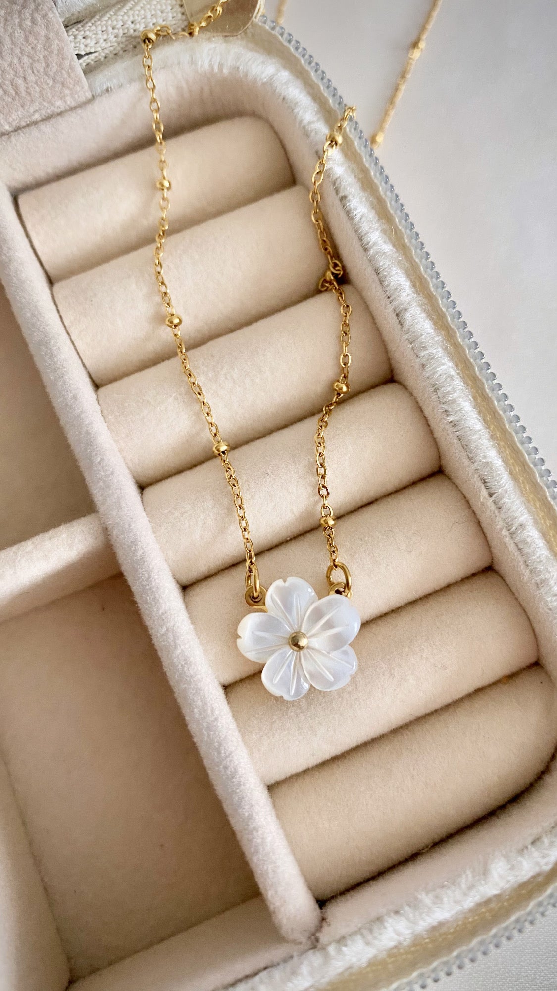 FLORA - COLLIER