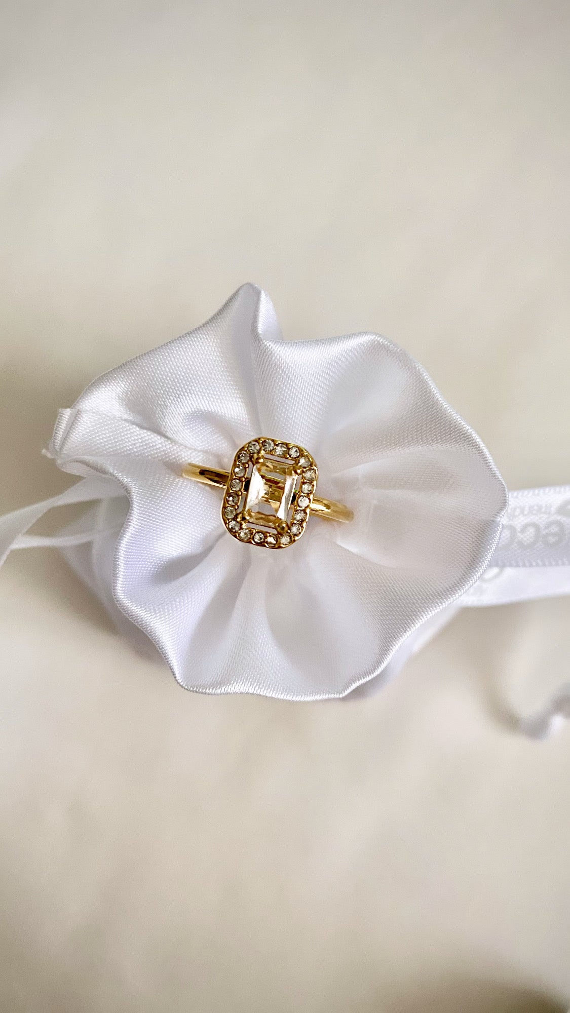 DIANE - BAGUE